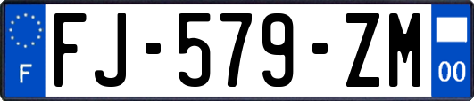 FJ-579-ZM