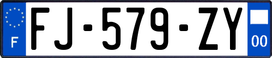 FJ-579-ZY