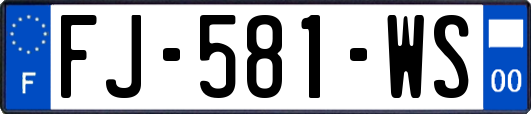 FJ-581-WS