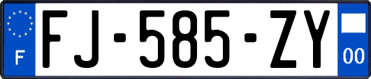 FJ-585-ZY