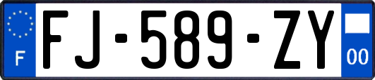 FJ-589-ZY