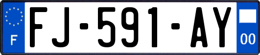 FJ-591-AY