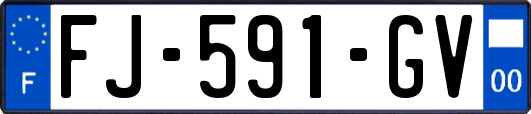 FJ-591-GV