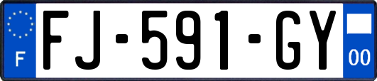 FJ-591-GY
