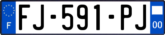 FJ-591-PJ