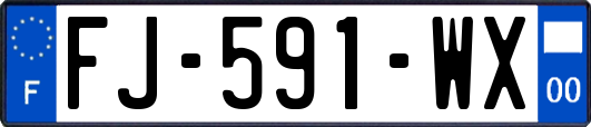 FJ-591-WX