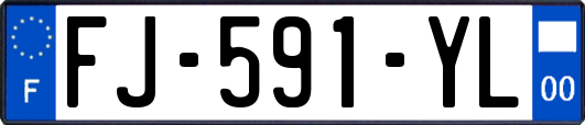 FJ-591-YL