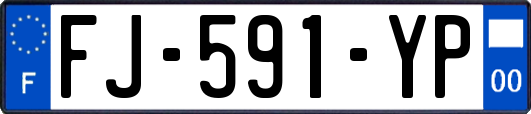 FJ-591-YP