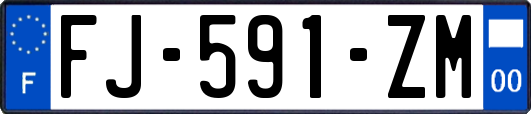 FJ-591-ZM