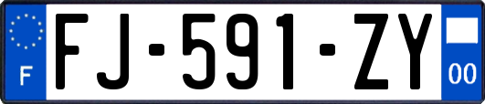 FJ-591-ZY