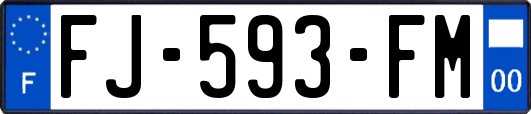 FJ-593-FM