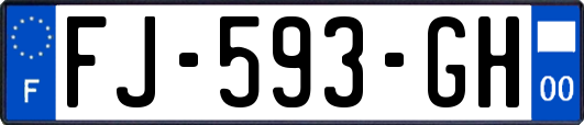 FJ-593-GH