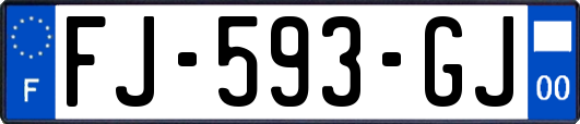 FJ-593-GJ