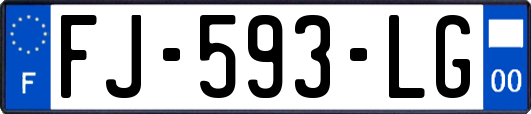 FJ-593-LG