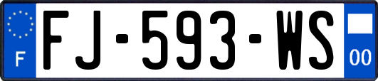 FJ-593-WS