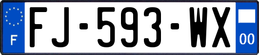 FJ-593-WX