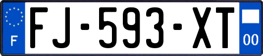 FJ-593-XT