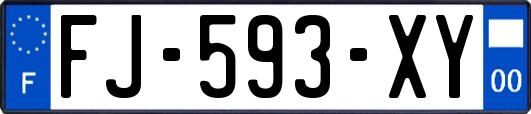 FJ-593-XY