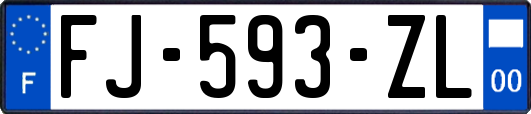 FJ-593-ZL