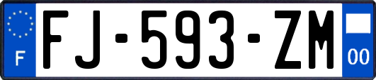 FJ-593-ZM