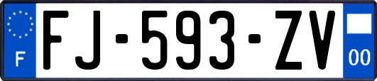 FJ-593-ZV