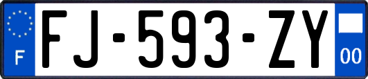 FJ-593-ZY