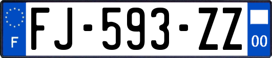 FJ-593-ZZ