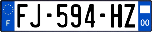 FJ-594-HZ