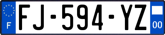 FJ-594-YZ