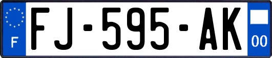 FJ-595-AK