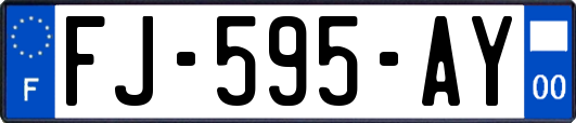 FJ-595-AY
