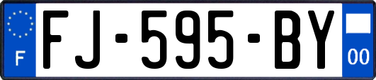 FJ-595-BY