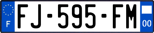 FJ-595-FM