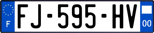 FJ-595-HV