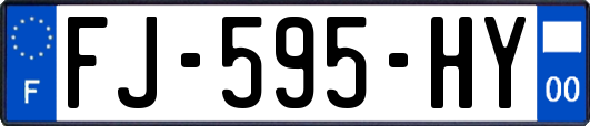 FJ-595-HY