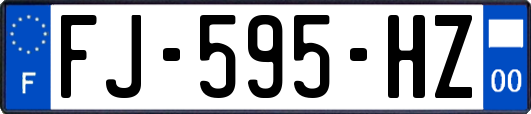 FJ-595-HZ
