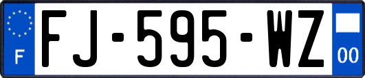 FJ-595-WZ