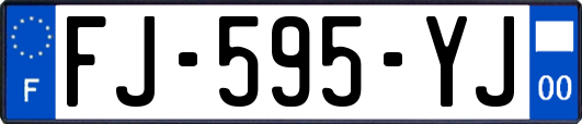 FJ-595-YJ