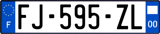 FJ-595-ZL