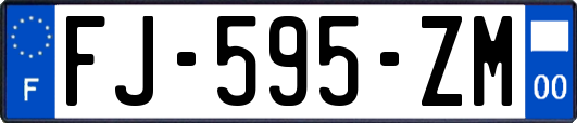 FJ-595-ZM