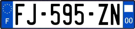 FJ-595-ZN