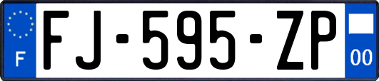 FJ-595-ZP