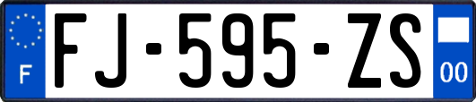 FJ-595-ZS