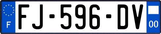 FJ-596-DV