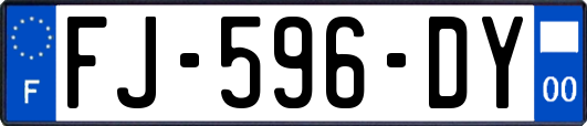 FJ-596-DY