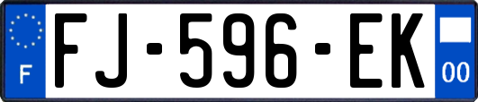 FJ-596-EK