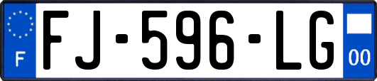 FJ-596-LG