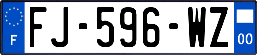 FJ-596-WZ