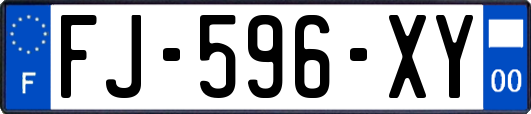 FJ-596-XY