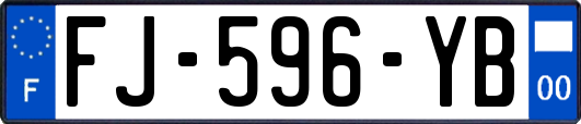 FJ-596-YB
